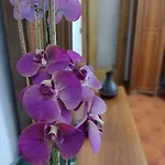 Casa Il Corbetto Di Michela & Matteo 아파트 *