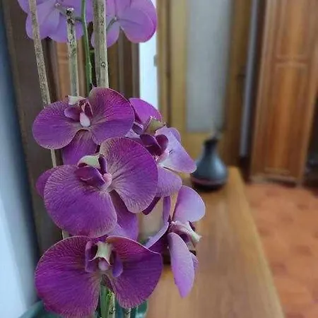 Casa Il Corbetto Di Michela & Matteo דירה *